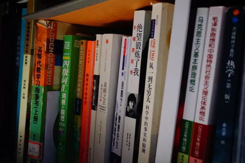 揭秘 数学系的武林秘籍