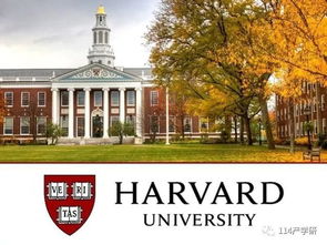 数学王国里的凯撒大帝——解析清华数学系排名跃升71位的十年征程